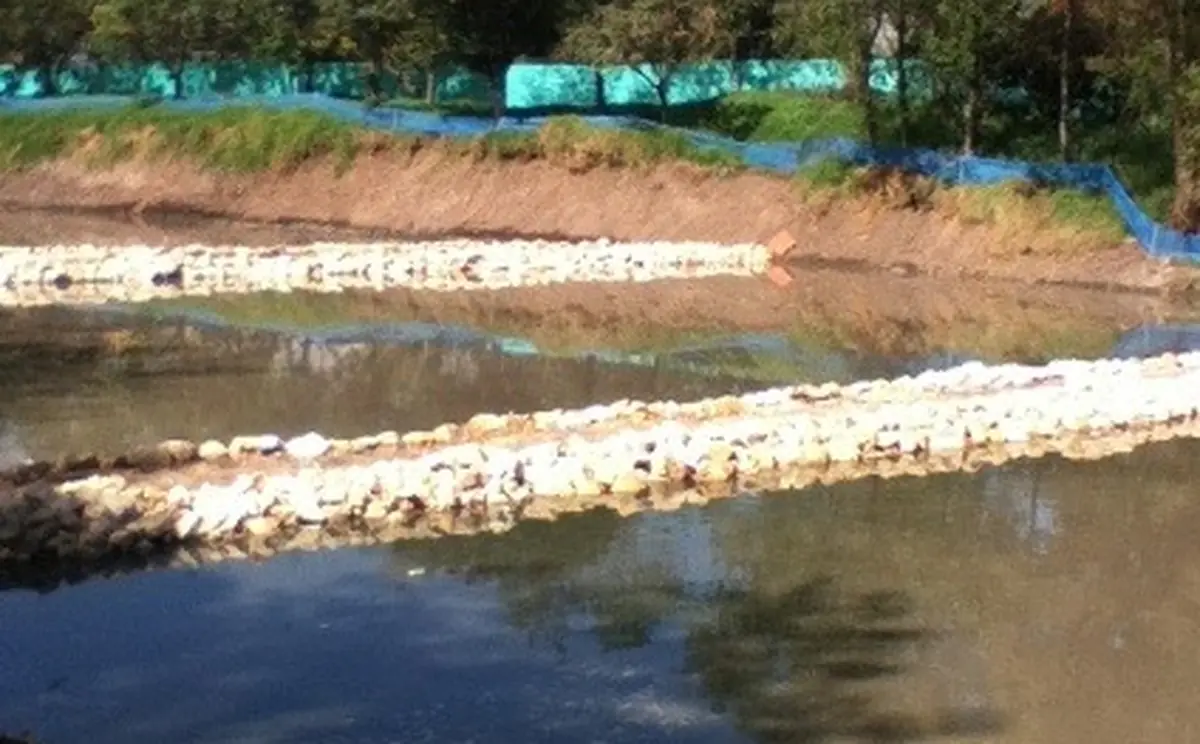 Canal y manejo de aguas
